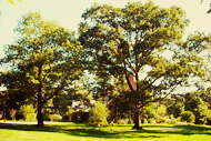 Southern Maine Lawn Mowing