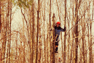 Southern Maine Tree Clearing